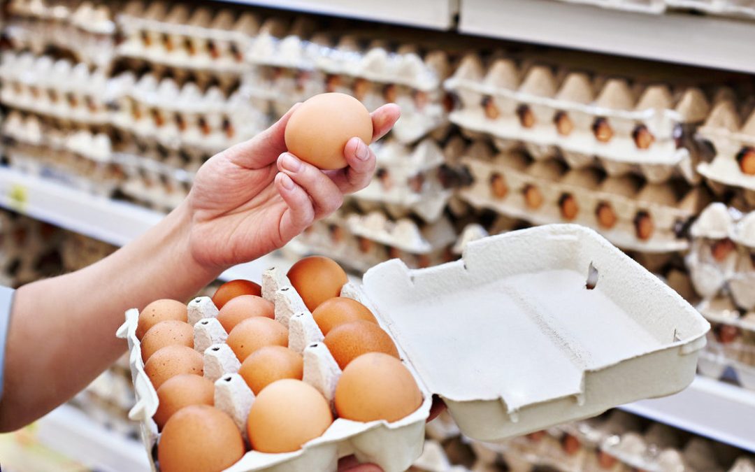 INE: La producción de huevos de consumo presentó un incremento interanual de 10,0% en abril de 2024