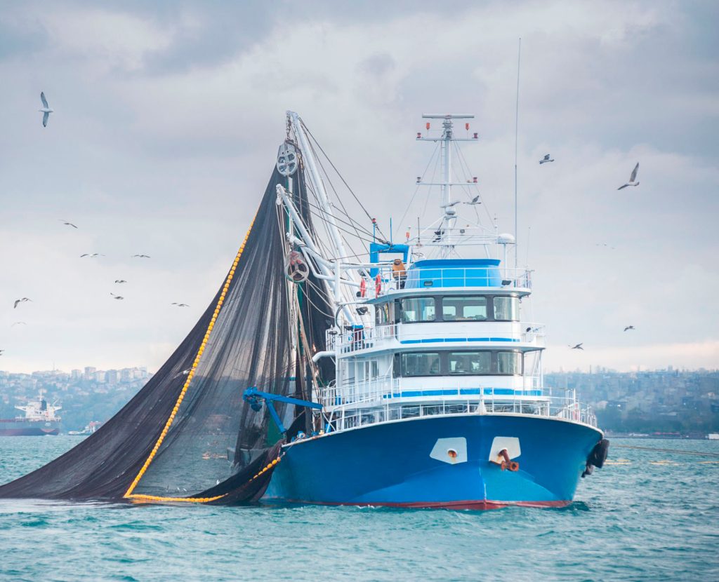 Estudio analizó beneficios y riesgos del comercio mundial de productos del mar